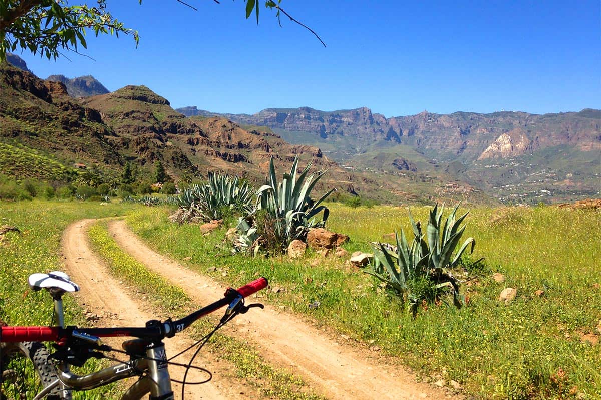 Volcanic South - mtb tour in Gran Canaria