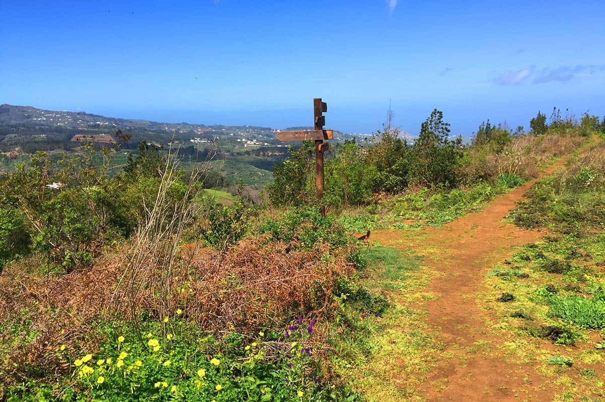 Mountain biking Gran Canaria - Green North Escape trail